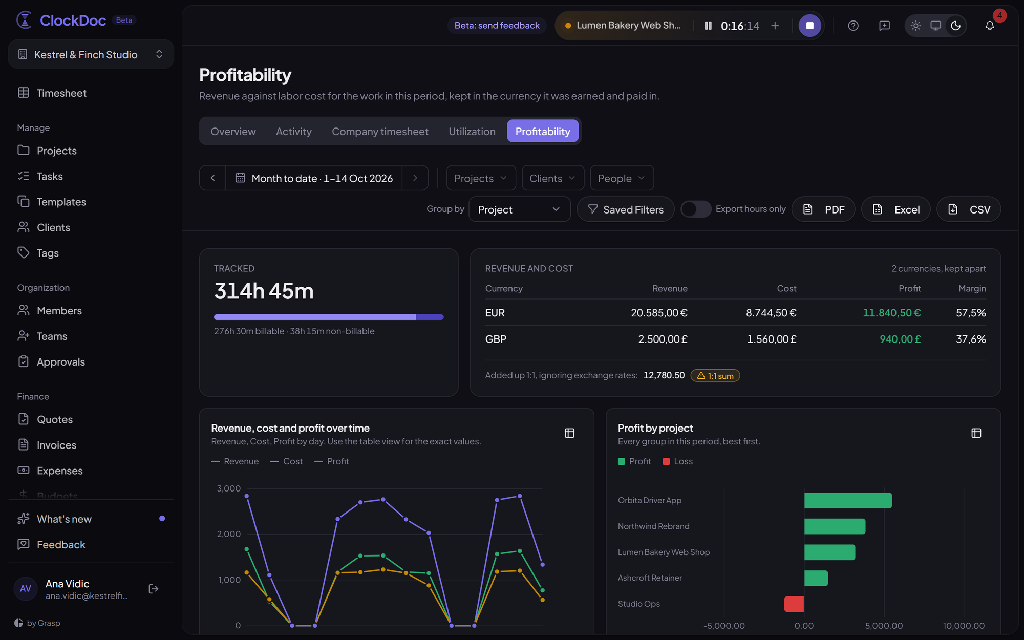 The profitability report: which projects and clients actually pay.